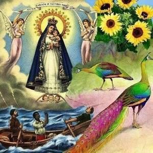 Meet your Posher, Mireya